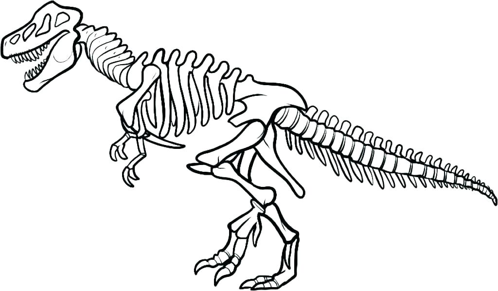 1024x598 Skeleton Coloring Page Skeleton Coloring Page Skeleton Coloring