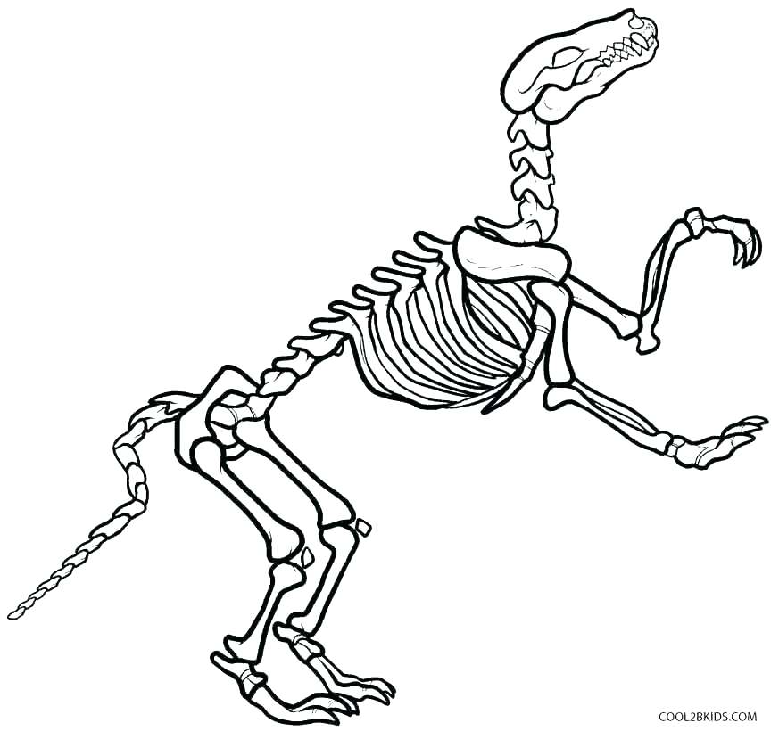 873x820 Dino Dan Coloring Pages Coloring Pages Coloring Pages Coloring