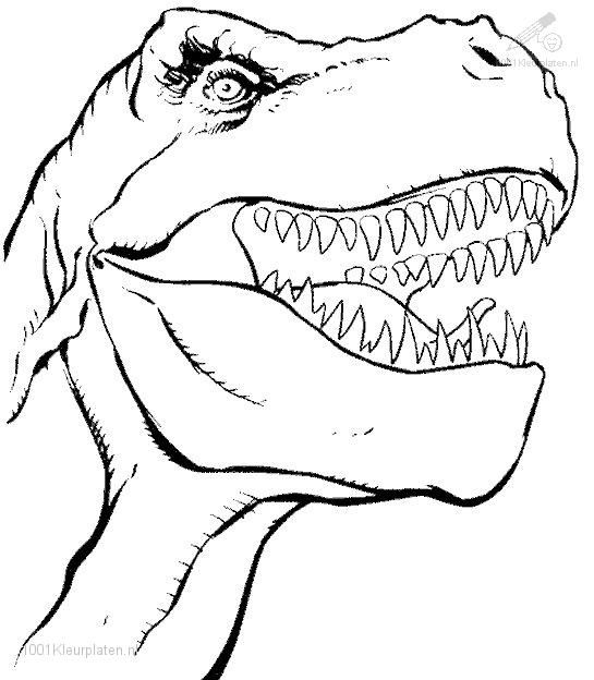 545x624 Dinosaur Coloring Pictures 25 Unique Dinosaur Coloring Pages Ideas