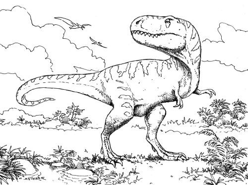 500x373 60 Best Coloring Pageslineart Dinosaurs Images