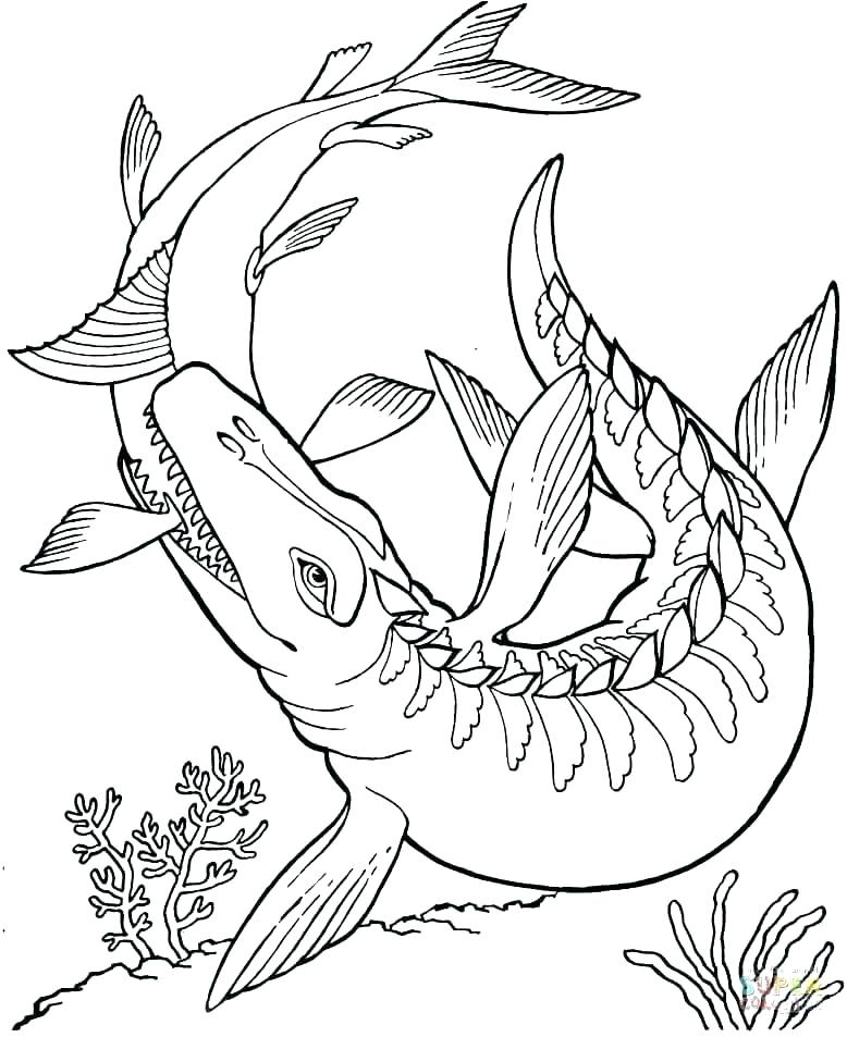 778x953 Free Coloring Sheets For Kids