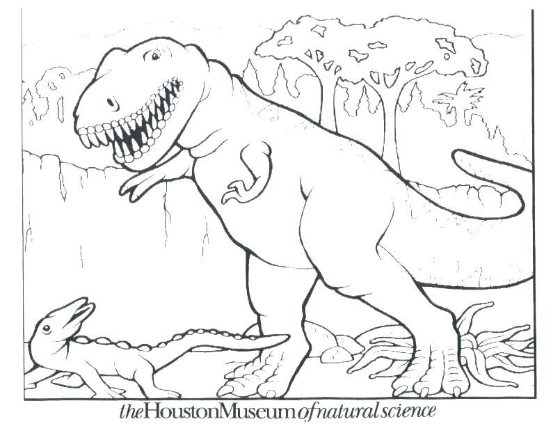805x622 Preschool Dinosaur Coloring Pages Coloring Pages Back Torticle