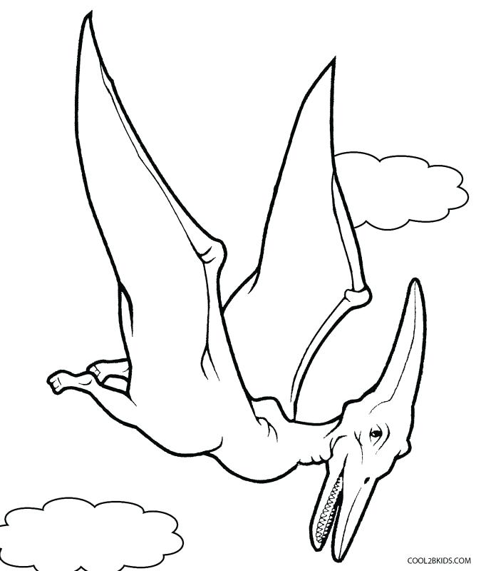 675x800 Dino Coloring Pages Flying Dinosaur Coloring Pages Dino Colouring