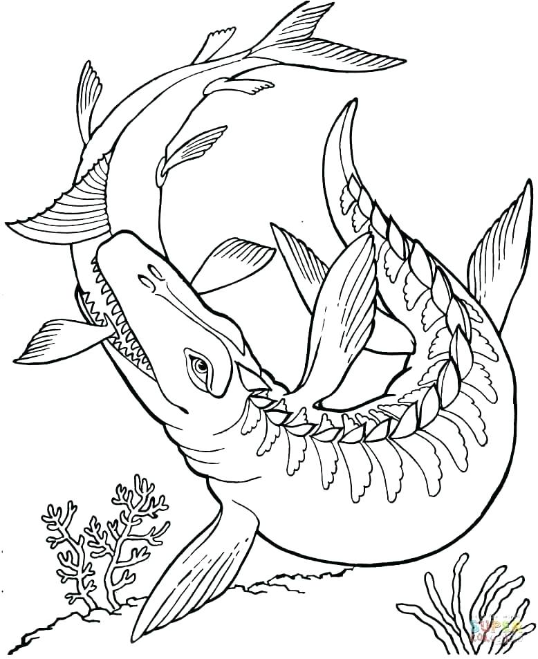 778x953 Dinosaur Color Pictures Dinosaur Coloring Sheet Color Dinosaur