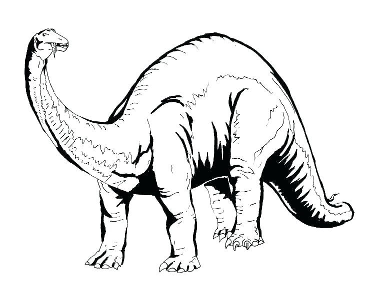 736x589 Coloring Page Dinosaur Coloring Pages Dinosaurs Coloring Pages