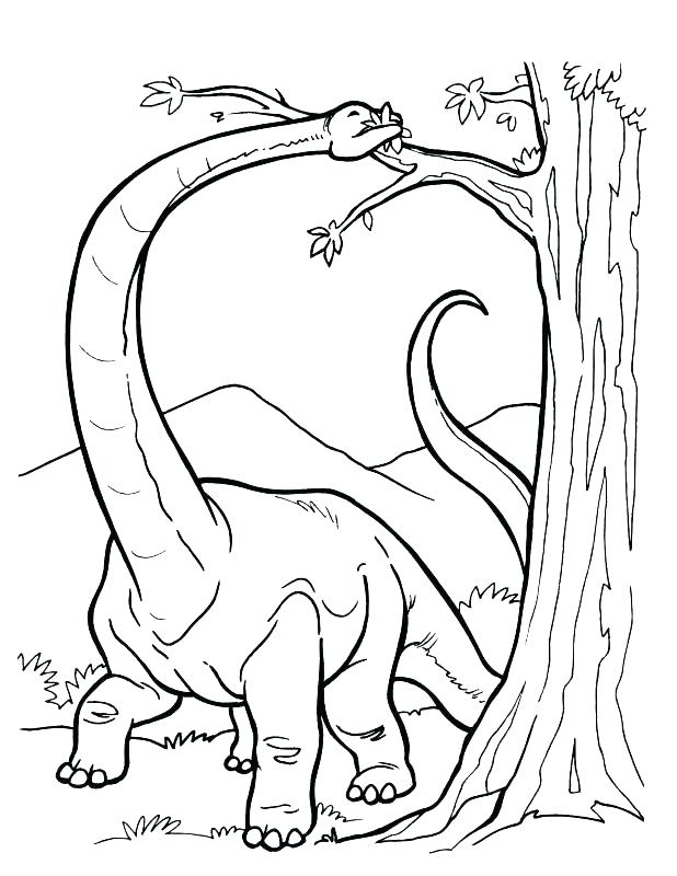 618x800 Preschool Dinosaur Coloring Pages Preschool Dinosaur Coloring