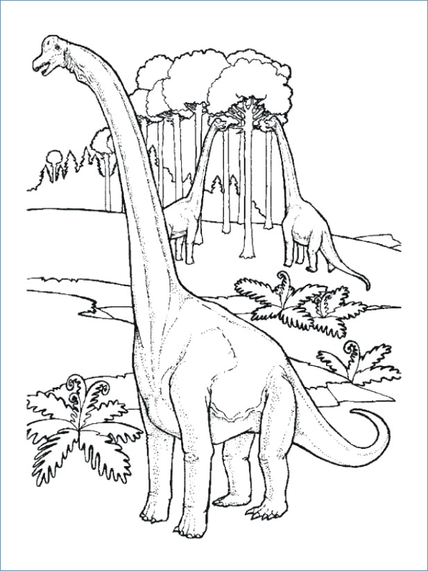 617x822 Brontosaurus Dinosaur Coloring Pages