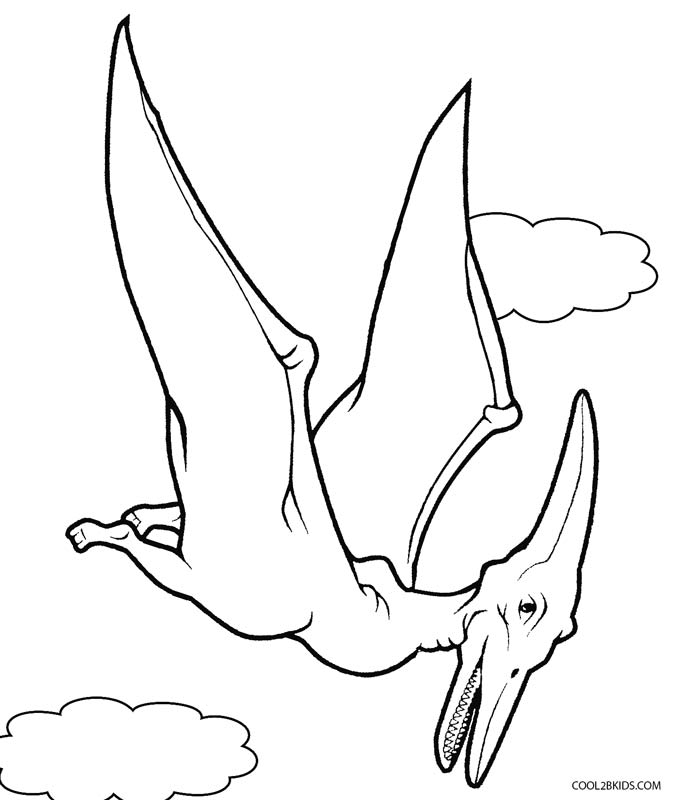 675x800 Printable Dinosaur Coloring Pages For Kids Cool2bkids