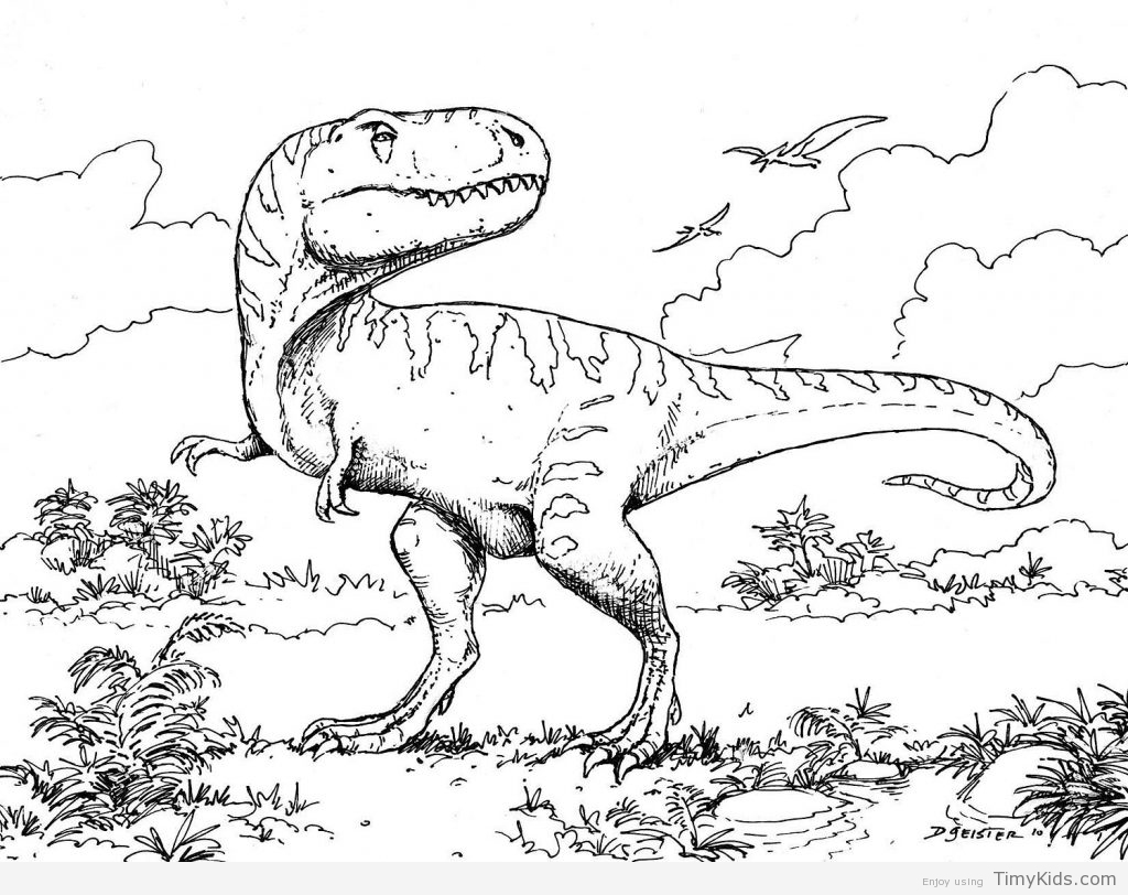 1024x812 Dinosaur Coloring Pages Free Printable Timykids Dinosaur Coloring