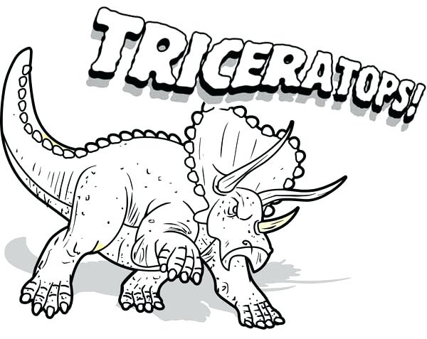 600x477 Dinosaur Coloring Pages Triceratops