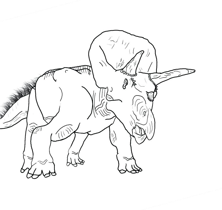 900x853 Triceratops Coloring Page Triceratops Coloring Page Triceratops