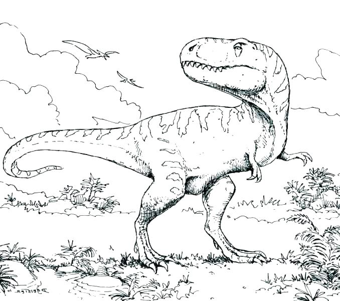 678x600 Dinosaur Coloring Printouts Dinosaur Coloring Pages With Names