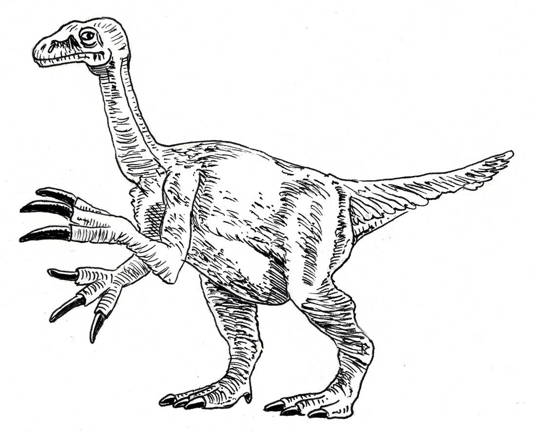 1094x887 28 Dinosaur Skeleton Coloring Pages, Free Coloring Pages