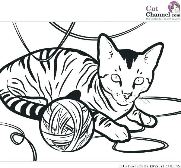 600x557 Fossil Coloring Pages Fossils Coloring Pages Fossil Coloring Pages