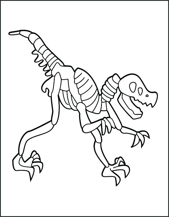 587x752 Fossil Coloring Pages Plus Dinosaur Fossil Coloring Pages Unique