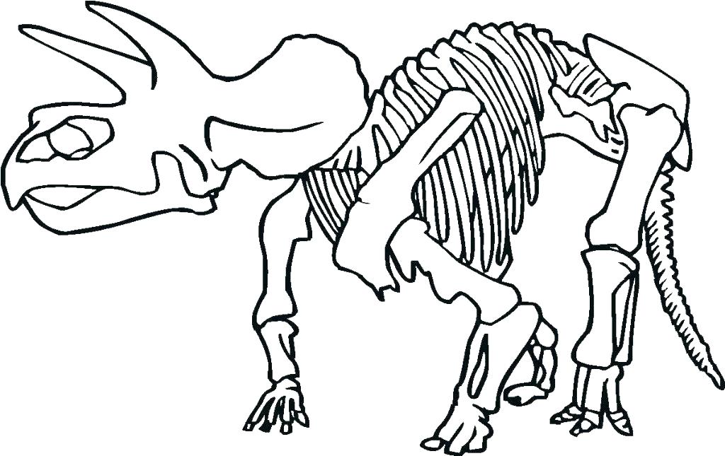 1024x645 Skeleton Head Coloring Pages Skeleton Coloring Sheet Skeleton
