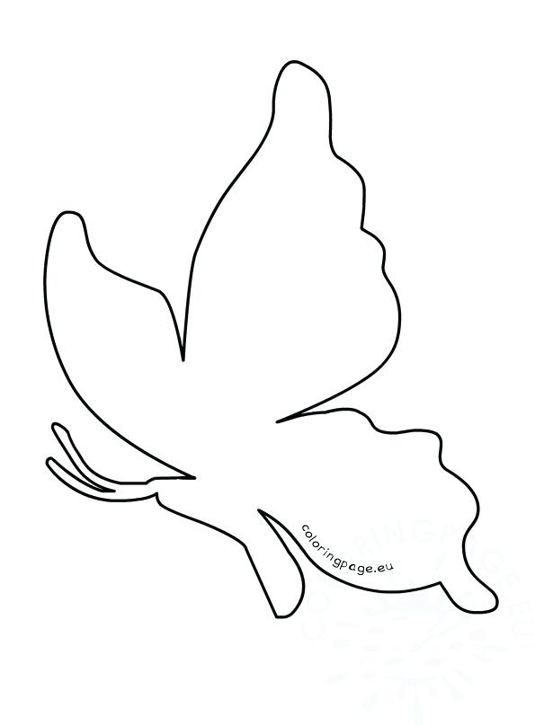 595x808 Outline Coloring Pages Butterfly Outline Colouring Page To Color