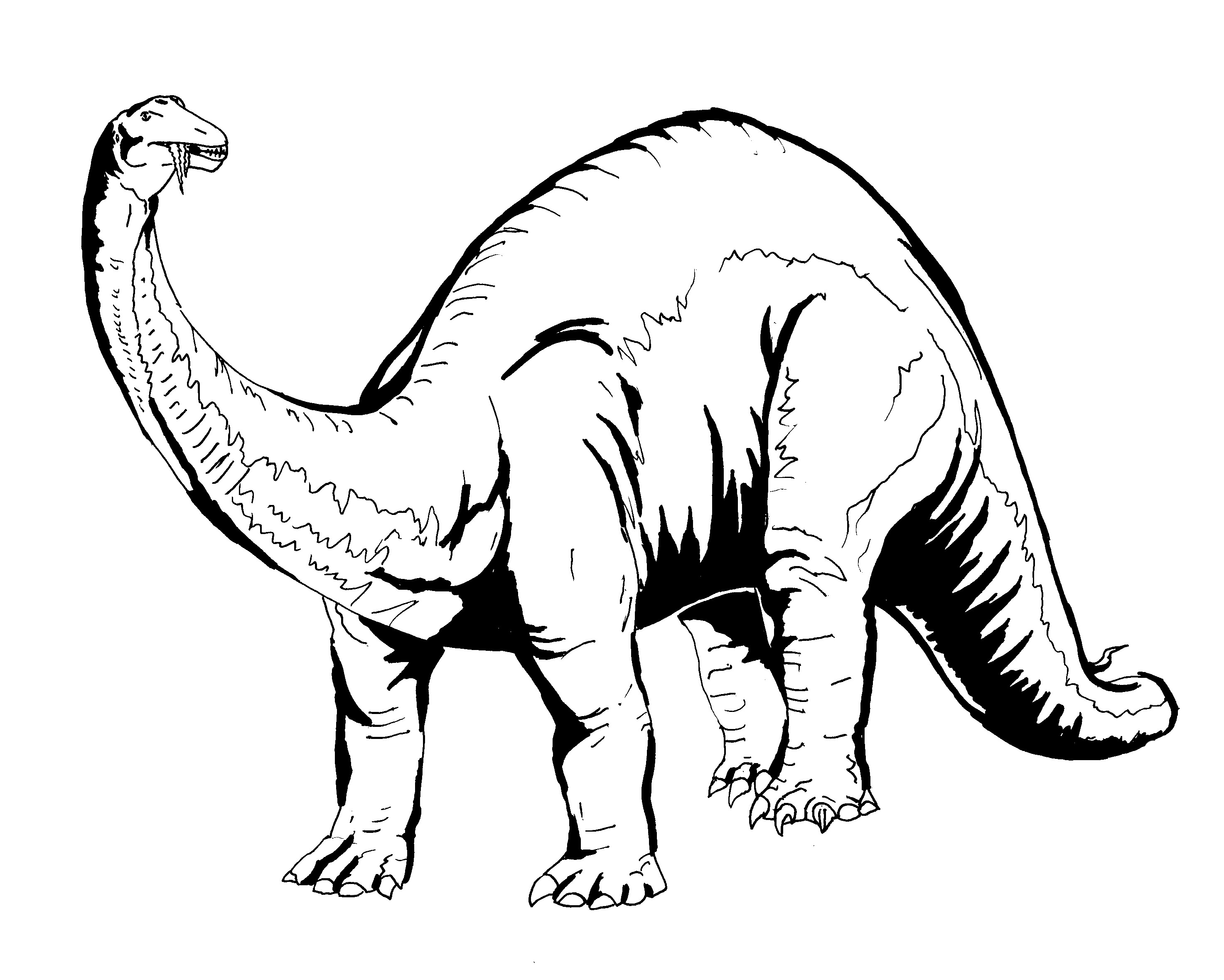 2946x2358 Top Wjoq With Free Dinosaur Coloring Pages On With Hd Resolution