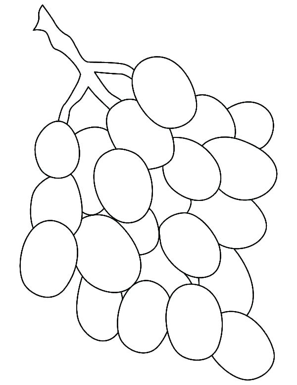 600x776 Dinosaur Outline Coloring Pages
