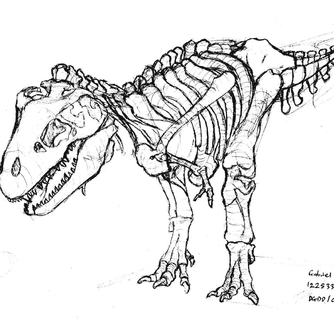 1150x1131 Dinosaur Skeleton Coloring Page Isolution Me With All Coloring Pages