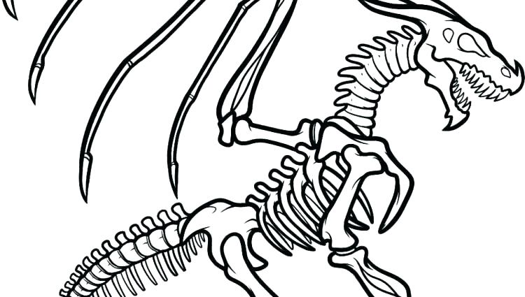 750x425 Skeleton Coloring Page Dinosaur Skeleton Coloring Pages Dinosaur