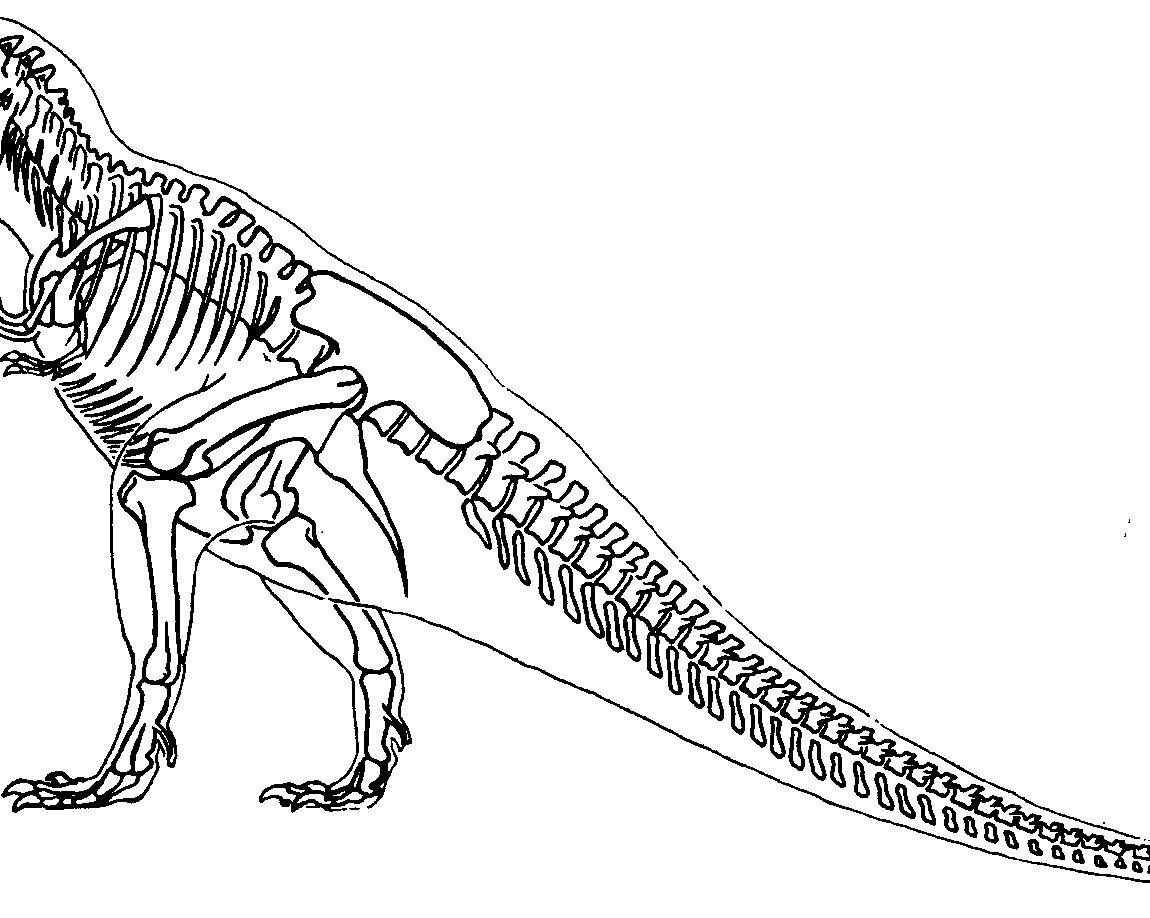 1150x918 Valuable Dinosaur Skeleton Coloring Page T Rex 10127 Unknown