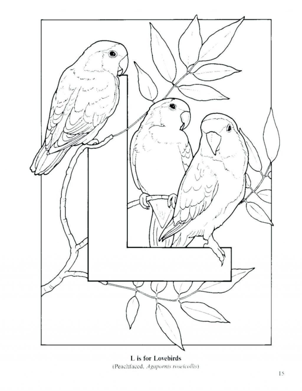 1024x1324 Armadillo Coloring Page Awesome Greek Gods Coloring Pages God