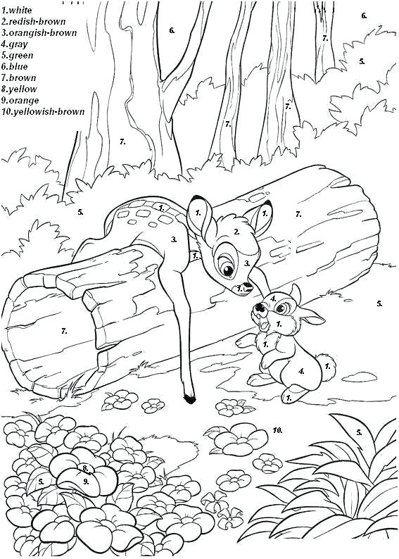 567x794 Disney Princess Color By Number Printables Disney Princess Color