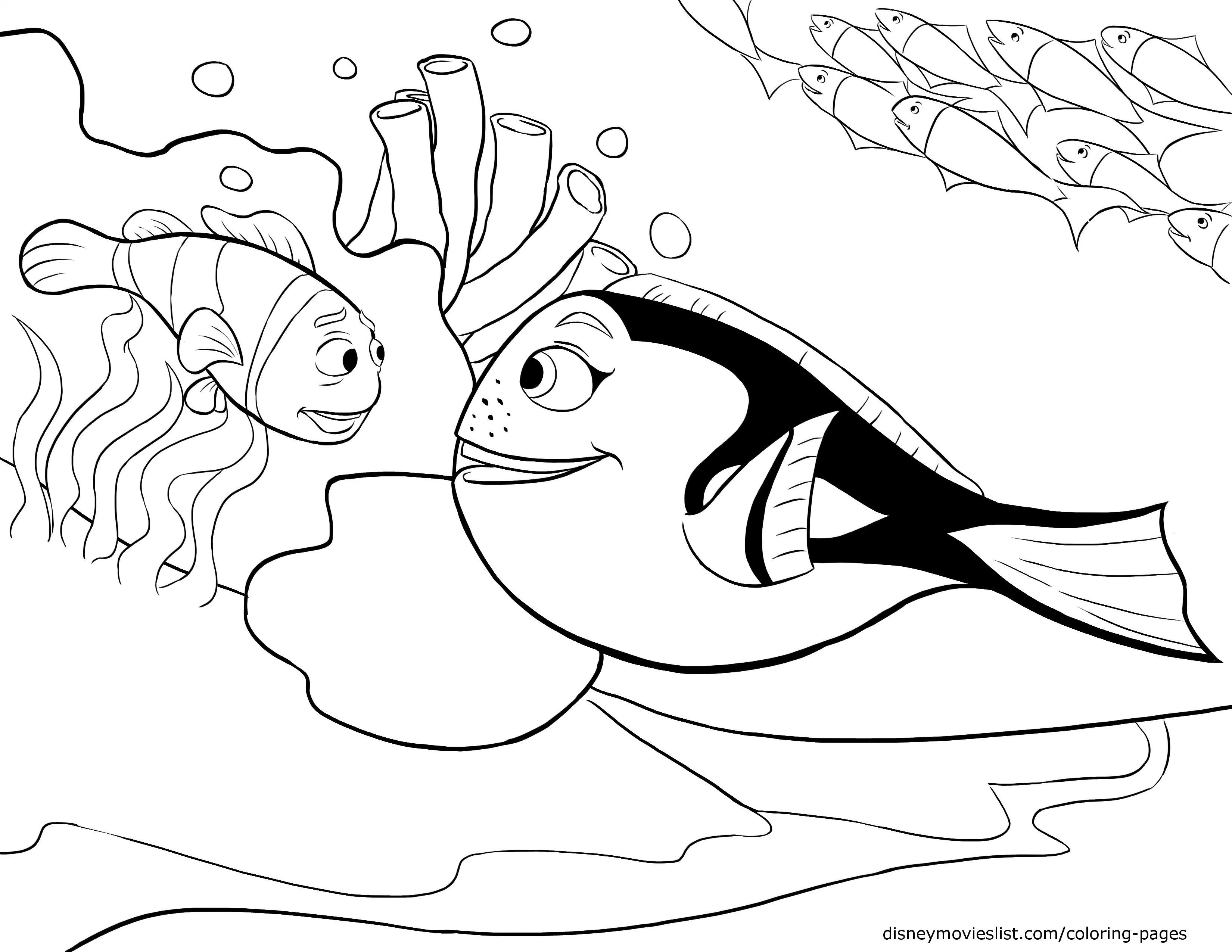 3300x2550 Finding Nemo Coloring Pages For Kids New Printable Picturesque