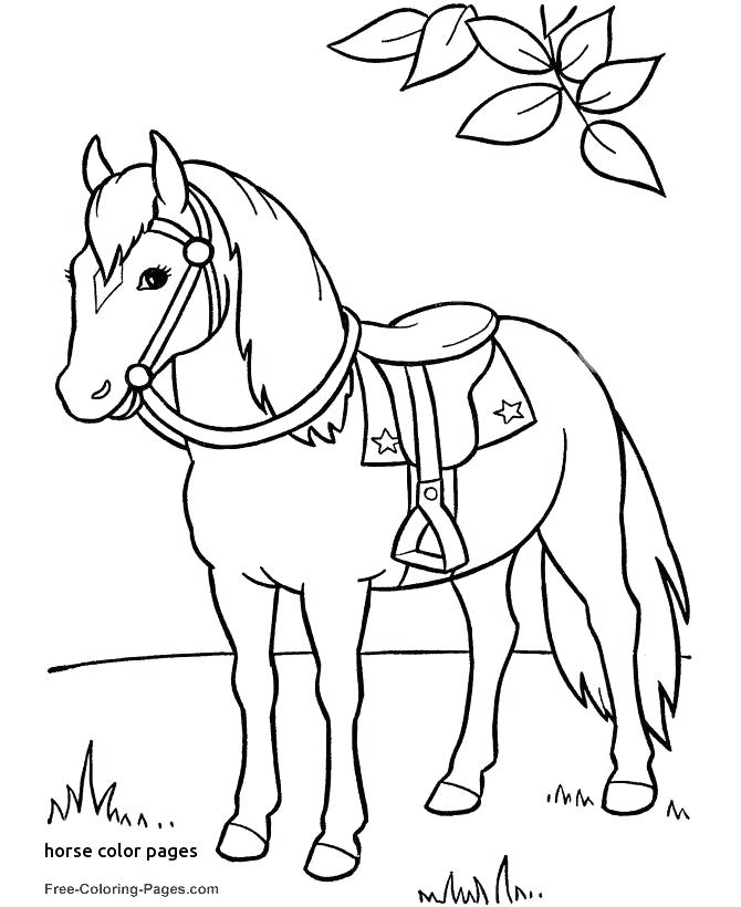 670x820 Princess And Horse Coloring Pages Horse Coloring Page Carousel