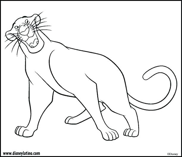 612x529 The Jungle Book Coloring Book Download Large Image Jungle Book