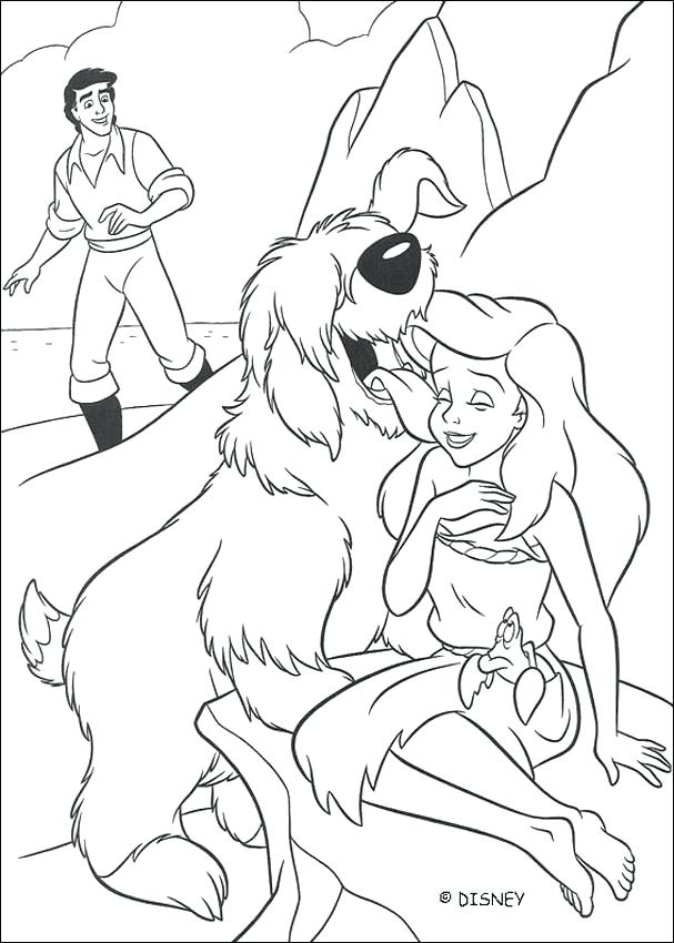 607x850 Aerial Coloring Pages Impair.co