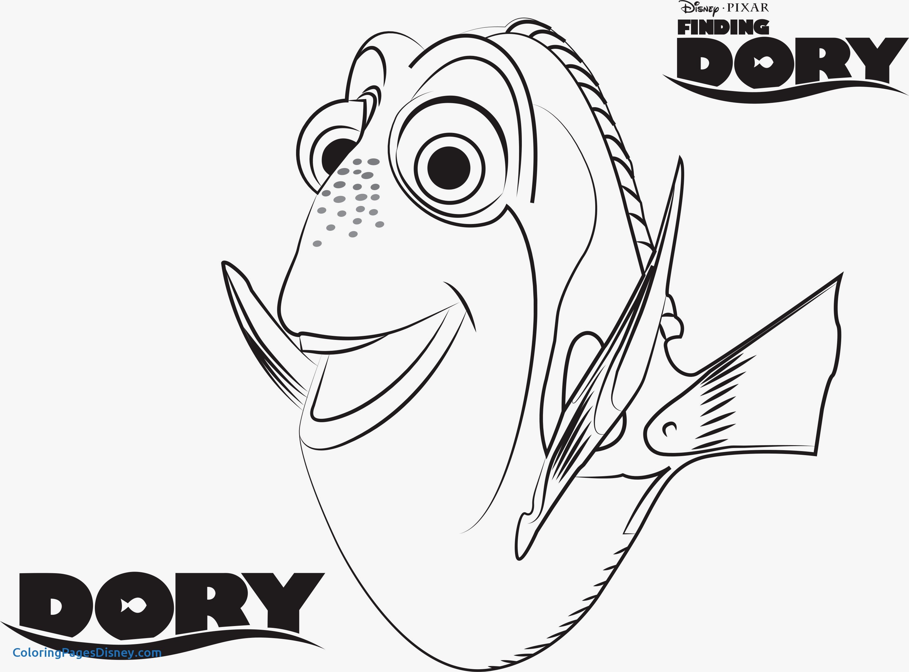 2923x2163 Finding Nemo Coloring Pages Beautiful Best 41 Best Colouring