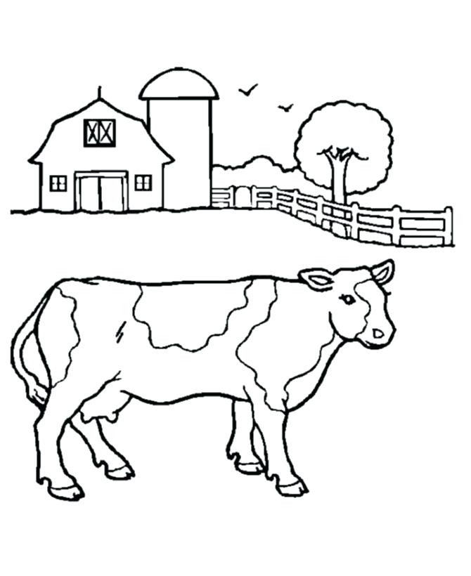 670x820 Cow Coloring Page Cow Coloring Pages For Preschool Coloring Pages