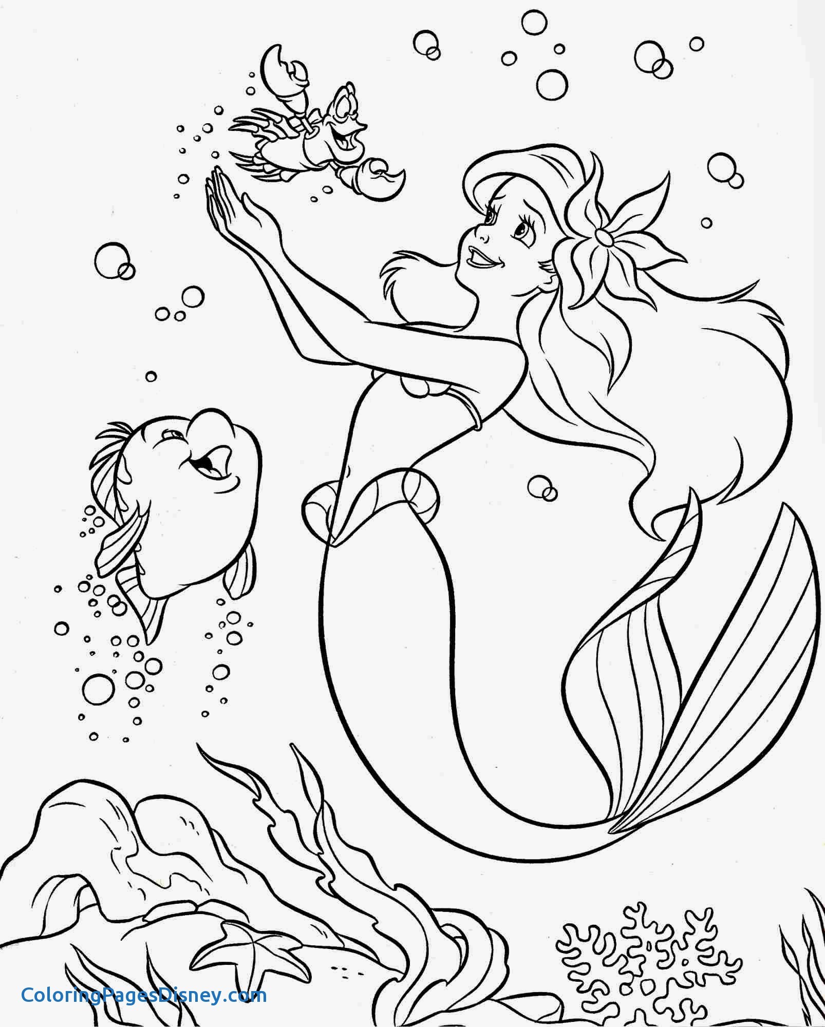 1606x2000 Pocahontas Coloring Pages Best Of Top 25 Disney Princess Coloring