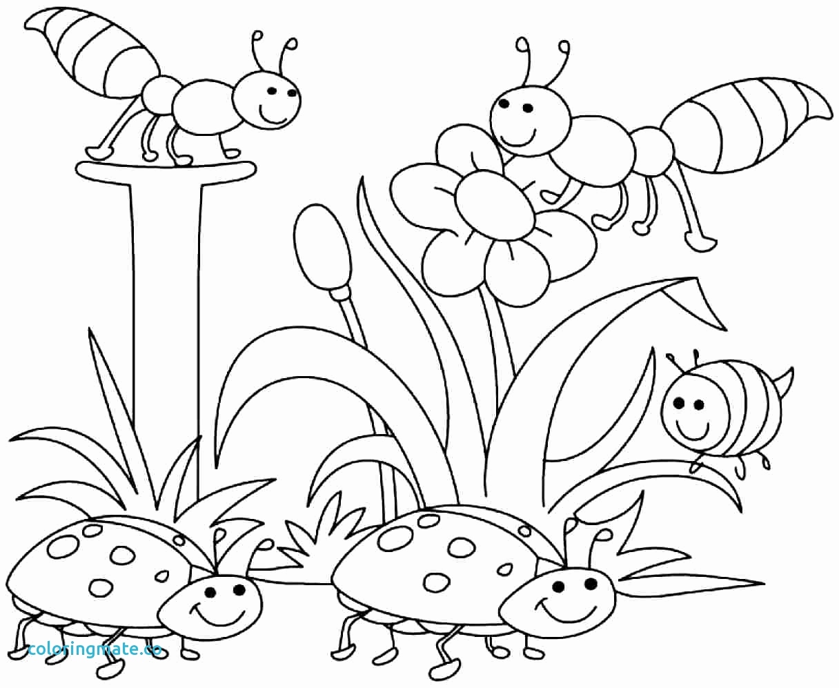 1216x997 Disney Spring Coloring Pages Images Spring Color Pages Beautiful 5