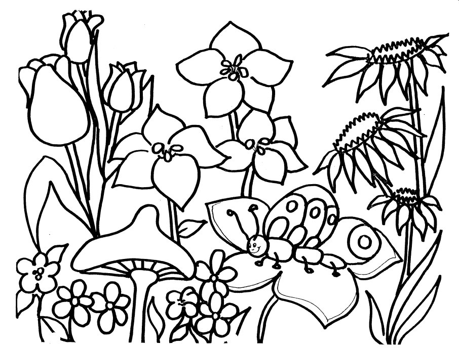 906x688 Spring Color Sheet Preschool 4 Seasons Disney