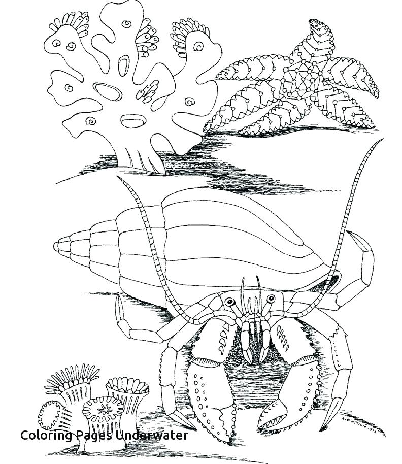 792x914 Disney World Coloring Pages World Coloring Pages With Best