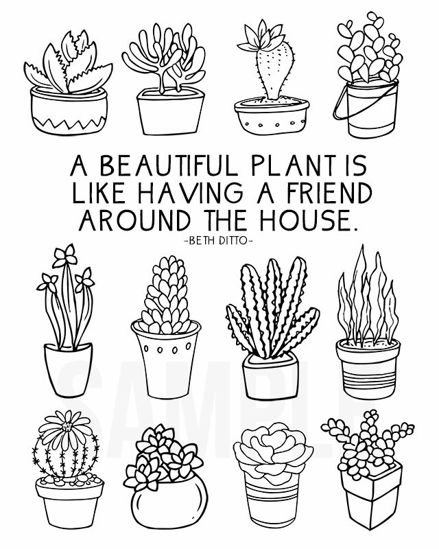 640x800 21 Best For The Colorer Images On Coloring Books