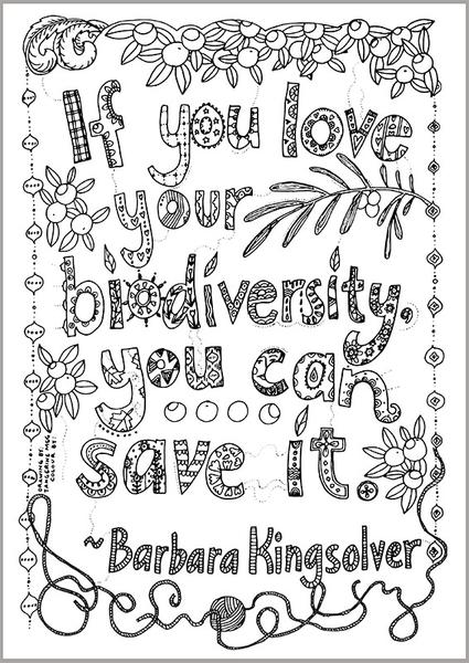 425x600 Coloring Pages For Adults Tangerine Meg Gallery Shop