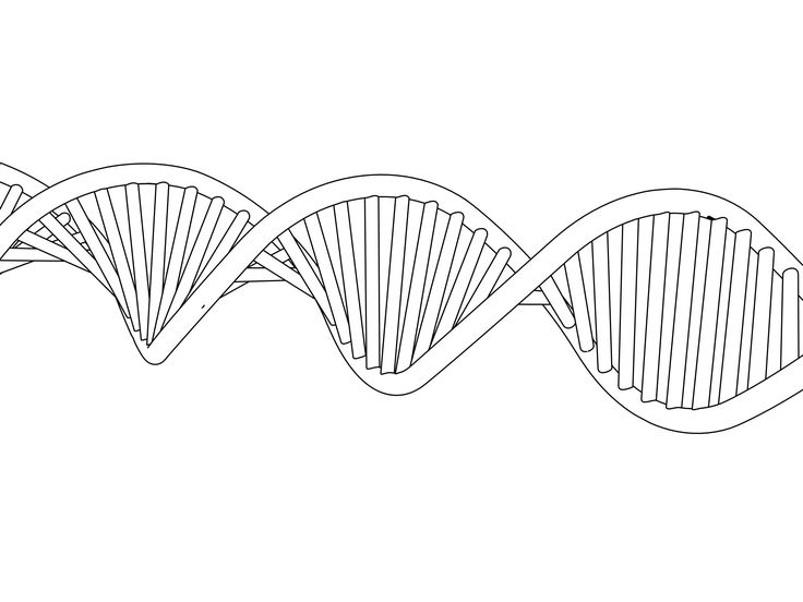 Dna Coloring Page