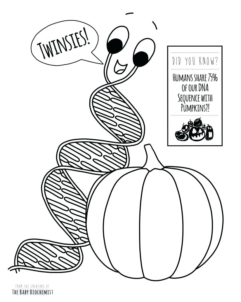 825x1031 Dna Coloring Page Best Of Translation Transcription Worksheet