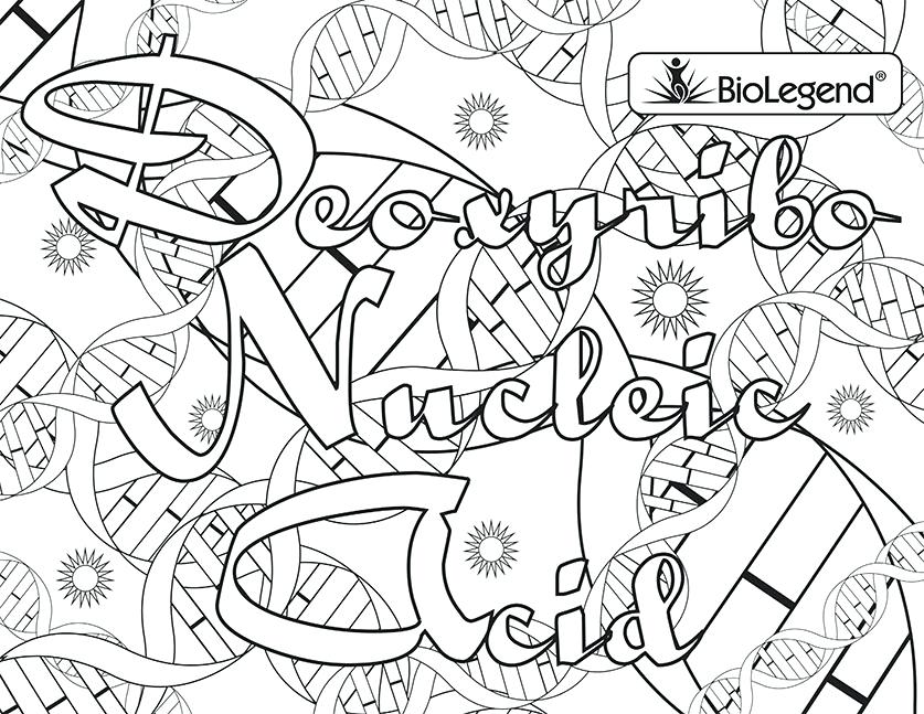 837x647 Dna Coloring Sheet Dna Coloring Pages Printable