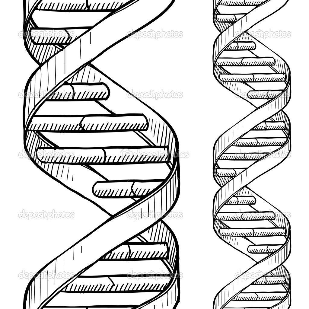 1024x1024 Incredible Dna Double Helix Art Genetics Within Pic Of Coloring