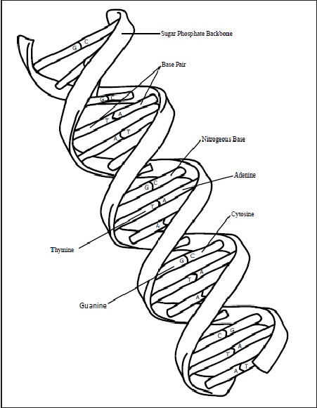 451x581 Kids Science Projects
