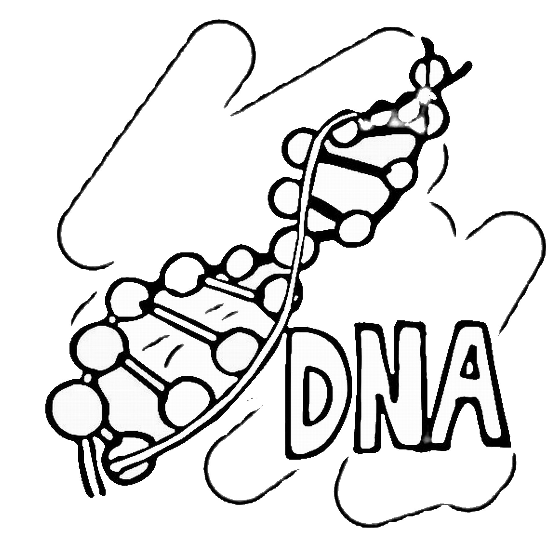 1800x1800 Dna Coloring Page