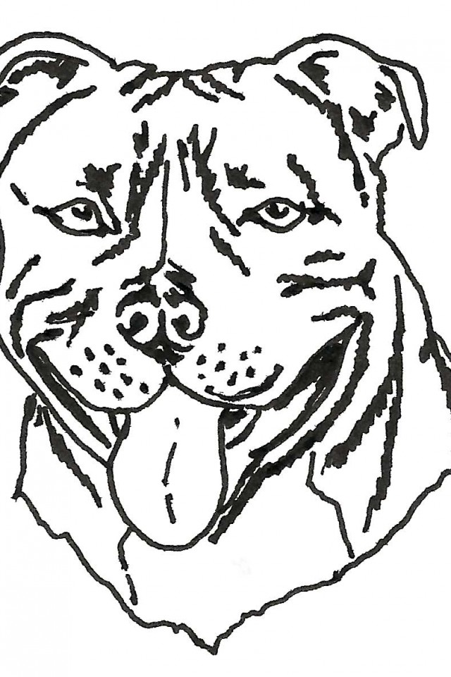 640x960 Doberman Coloring Pages. Cheap Puppy Colouring Pages Beautiful