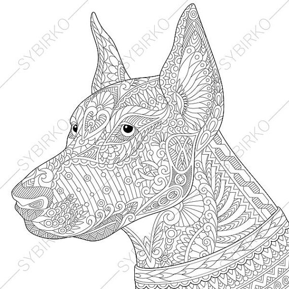 570x570 Doberman Dog. Coloring Page For National Pet Day Greeting