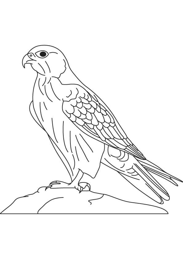 595x842 7 Best Doberman Coloring Pages Images On Doberman