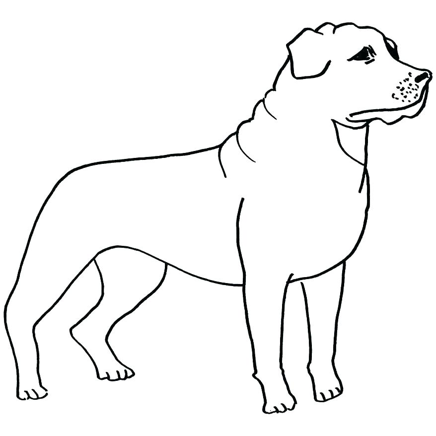 878x878 Rottweiler Coloring Pages Good Coloring Pages On Doberman Coloring